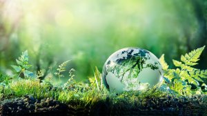 Обеспечение экологической безопасности руководителями и специалистами общехозяйственных систем управления