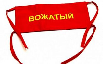 Специалист, участвующий в организации деятельности детского коллектива (вожатый)