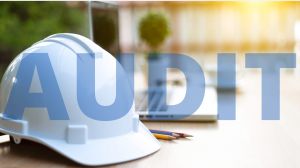 Семинар "Внутренний аудит системы менеджмента качества в соответствии с требованиями ISO 9001:2015 (ГОСТ Р ИСО 9001-2015) и руководящими указаниями ISO 19011:2018"