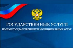 Организация предоставления государственных и муниципальных услуг