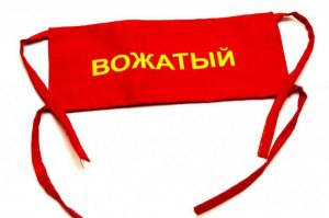 Специалист, участвующий в организации деятельности детского коллектива (вожатый)