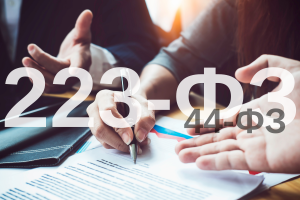 Специалист в сфере закупок (№44-ФЗ, №223-ФЗ)