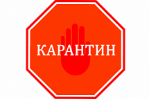 Внимание! Переходим на дистанционное обучение