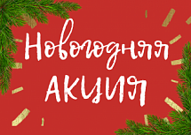 Новогодняя АКЦИЯ!